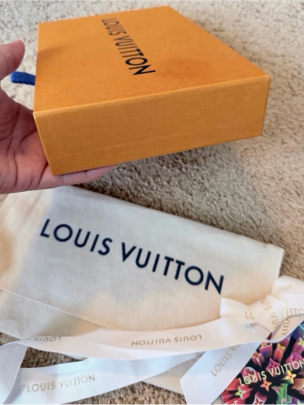 LOUIS VUITTON - Picture 6 of 12